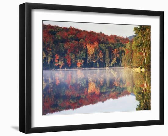 New York, Adirondack Mts, Sugar Maples and Fog at Heart Lake in Autumn-Christopher Talbot Frank-Framed Photographic Print