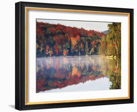 New York, Adirondack Mts, Sugar Maples and Fog at Heart Lake in Autumn-Christopher Talbot Frank-Framed Photographic Print