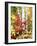 New York, Adirondack Mts, the Fall Colors of Trees-Christopher Talbot Frank-Framed Photographic Print