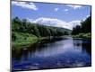 Photographic Print