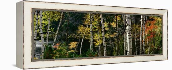 New York, Adirondacks, Autumn at Chapel Pond-null-Framed Premier Image Canvas