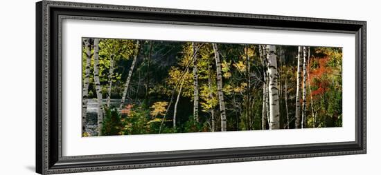 New York, Adirondacks, Autumn at Chapel Pond-null-Framed Photographic Print