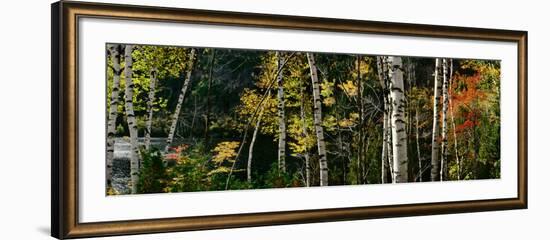 New York, Adirondacks, Autumn at Chapel Pond-null-Framed Photographic Print