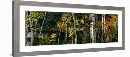 New York, Adirondacks, Autumn at Chapel Pond-null-Framed Photographic Print