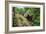 New York - Bear in the Catskill Mountains-Lantern Press-Framed Art Print