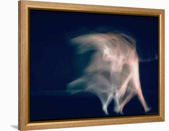 New York City Ballet Dancers in Pas de Deux from Sonata-Gjon Mili-Framed Premier Image Canvas