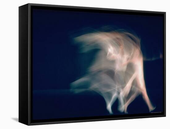 New York City Ballet Dancers in Pas de Deux from Sonata-Gjon Mili-Framed Premier Image Canvas