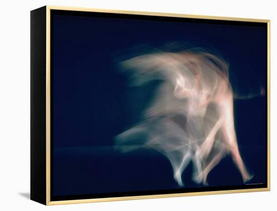 New York City Ballet Dancers in Pas de Deux from Sonata-Gjon Mili-Framed Premier Image Canvas