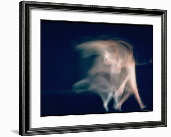 New York City Ballet Dancers in Pas de Deux from Sonata-Gjon Mili-Framed Premium Photographic Print