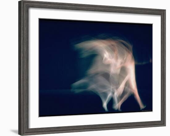 New York City Ballet Dancers in Pas de Deux from Sonata-Gjon Mili-Framed Premium Photographic Print