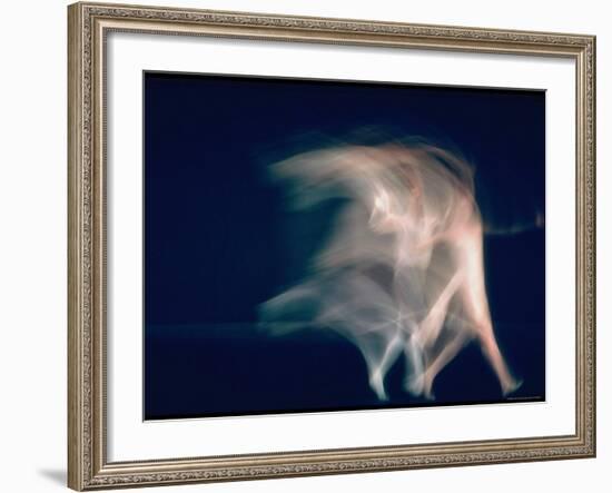 New York City Ballet Dancers in Pas de Deux from Sonata-Gjon Mili-Framed Premium Photographic Print