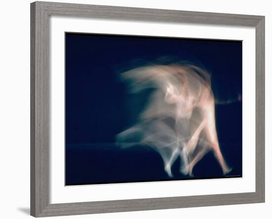 New York City Ballet Dancers in Pas de Deux from Sonata-Gjon Mili-Framed Premium Photographic Print