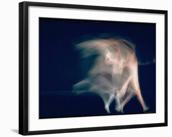 New York City Ballet Dancers in Pas de Deux from Sonata-Gjon Mili-Framed Premium Photographic Print