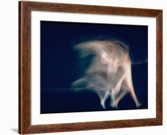 New York City Ballet Dancers in Pas de Deux from Sonata-Gjon Mili-Framed Premium Photographic Print