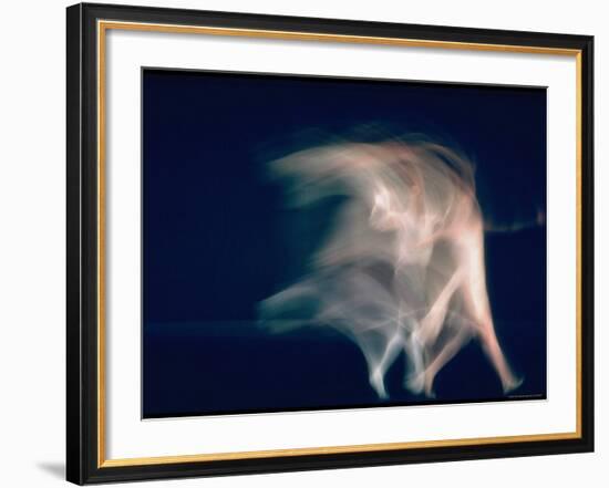 New York City Ballet Dancers in Pas de Deux from Sonata-Gjon Mili-Framed Premium Photographic Print