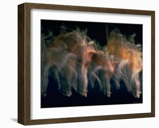 New York City Ballet Performing Dumbarton Oaks-Gjon Mili-Framed Photographic Print