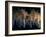 New York City Ballet Performing Dumbarton Oaks-Gjon Mili-Framed Photographic Print