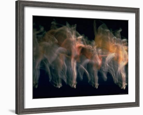 New York City Ballet Performing Dumbarton Oaks-Gjon Mili-Framed Photographic Print