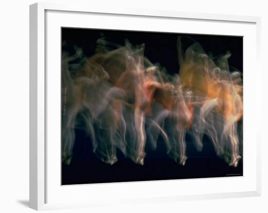 New York City Ballet Performing Dumbarton Oaks-Gjon Mili-Framed Photographic Print