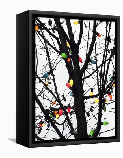 New York City, colorful Christmas lights-Michele Molinari-Framed Premier Image Canvas