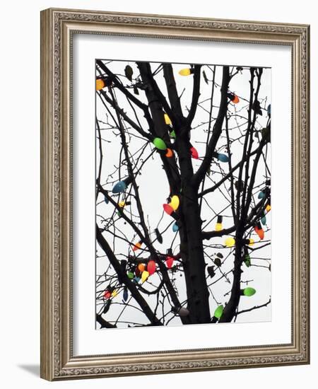 New York City, colorful Christmas lights-Michele Molinari-Framed Photographic Print