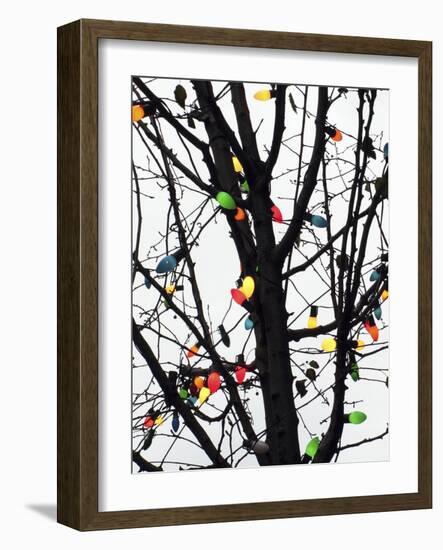 New York City, colorful Christmas lights-Michele Molinari-Framed Photographic Print