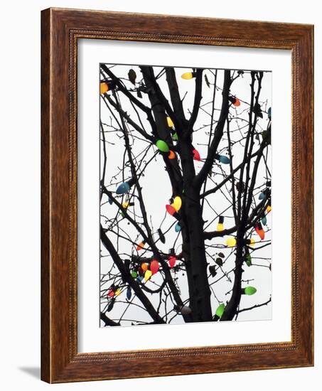 New York City, colorful Christmas lights-Michele Molinari-Framed Photographic Print