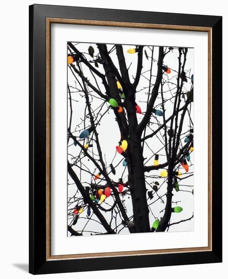 New York City, colorful Christmas lights-Michele Molinari-Framed Photographic Print