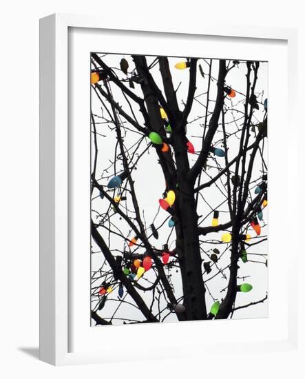 New York City, colorful Christmas lights-Michele Molinari-Framed Photographic Print