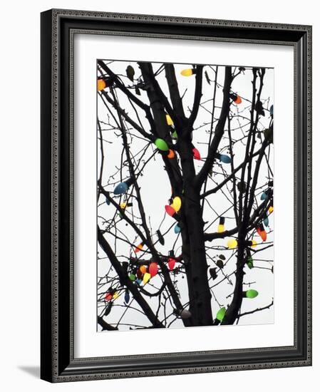 New York City, colorful Christmas lights-Michele Molinari-Framed Photographic Print