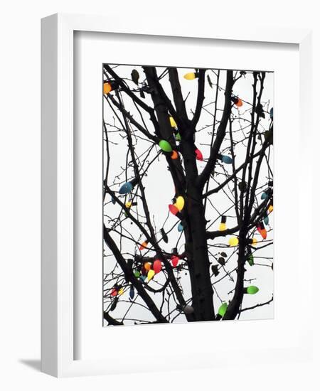 New York City, colorful Christmas lights-Michele Molinari-Framed Photographic Print