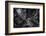 New York City Looking Down-Bruce Getty-Framed Photographic Print