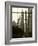 New York City, Manhattan, Statue of Christopher Columbus in Columbus Circle Viewed Through a Glass -Gavin Hellier-Framed Photographic Print