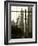 New York City, Manhattan, Statue of Christopher Columbus in Columbus Circle Viewed Through a Glass -Gavin Hellier-Framed Photographic Print