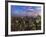 New York City, Manhattan, View Towards Downtown; Empire State Building from Rockerfeller Centre, US-Gavin Hellier-Framed Photographic Print