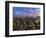 New York City, Manhattan, View Towards Downtown; Empire State Building from Rockerfeller Centre, US-Gavin Hellier-Framed Photographic Print