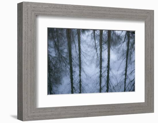 New York City, New York, USA. Botanical Garden-Julien McRoberts-Framed Photographic Print