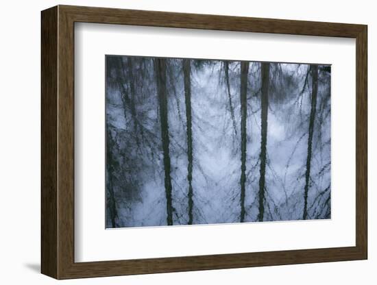 New York City, New York, USA. Botanical Garden-Julien McRoberts-Framed Photographic Print