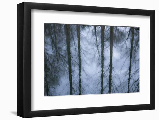 New York City, New York, USA. Botanical Garden-Julien McRoberts-Framed Photographic Print