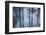 New York City, New York, USA. Botanical Garden-Julien McRoberts-Framed Photographic Print