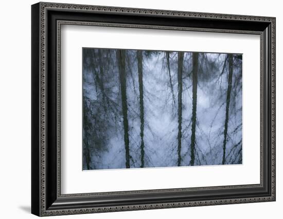 New York City, New York, USA. Botanical Garden-Julien McRoberts-Framed Photographic Print