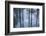 New York City, New York, USA. Botanical Garden-Julien McRoberts-Framed Photographic Print