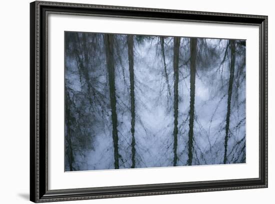 New York City, New York, USA. Botanical Garden-Julien McRoberts-Framed Photographic Print