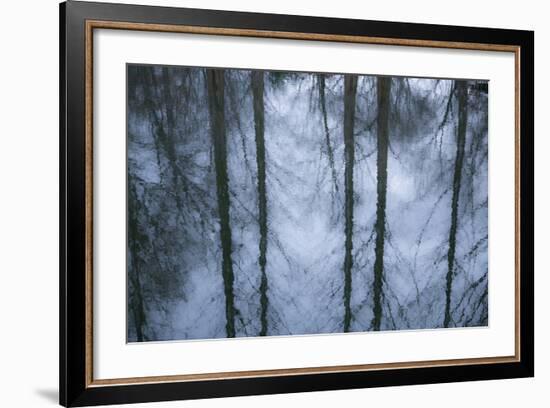 New York City, New York, USA. Botanical Garden-Julien McRoberts-Framed Photographic Print