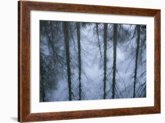 New York City, New York, USA. Botanical Garden-Julien McRoberts-Framed Photographic Print