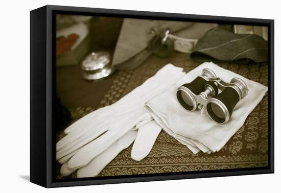 New York City, NY. 1920's Jazz Age Lawn Party at Governors Island-Julien McRoberts-Framed Premier Image Canvas