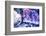 New York City, Ny Beautiful Gems and Crystals on Display-Julien McRoberts-Framed Photographic Print