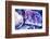 New York City, Ny Beautiful Gems and Crystals on Display-Julien McRoberts-Framed Photographic Print