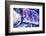 New York City, Ny Beautiful Gems and Crystals on Display-Julien McRoberts-Framed Photographic Print