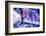 New York City, Ny Beautiful Gems and Crystals on Display-Julien McRoberts-Framed Photographic Print